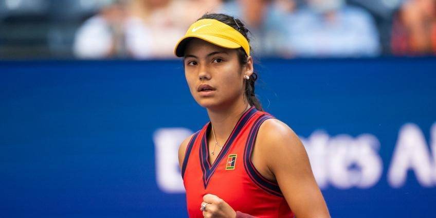 绽放光彩 绽放光彩