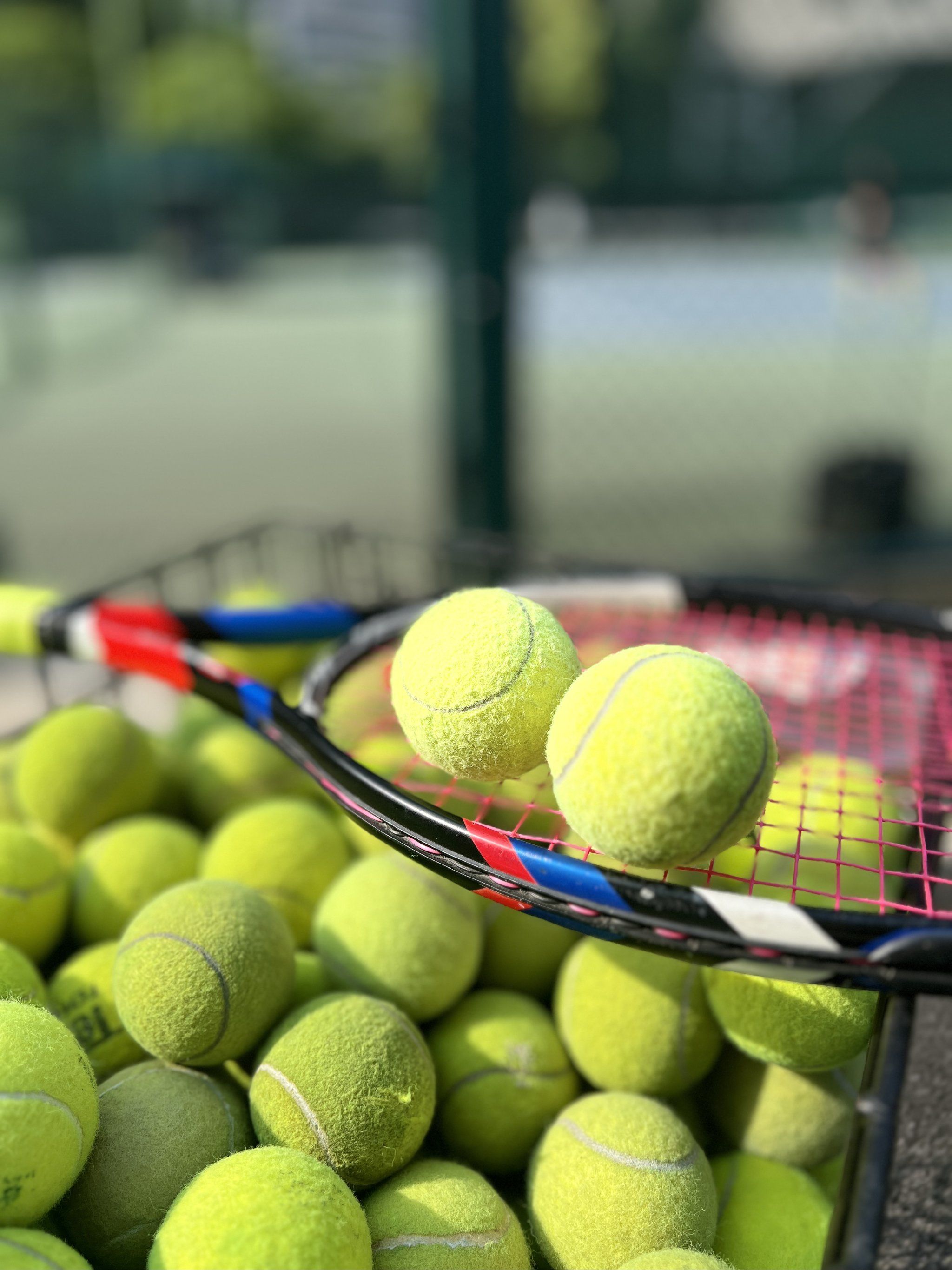 发展自己的 发展自己的