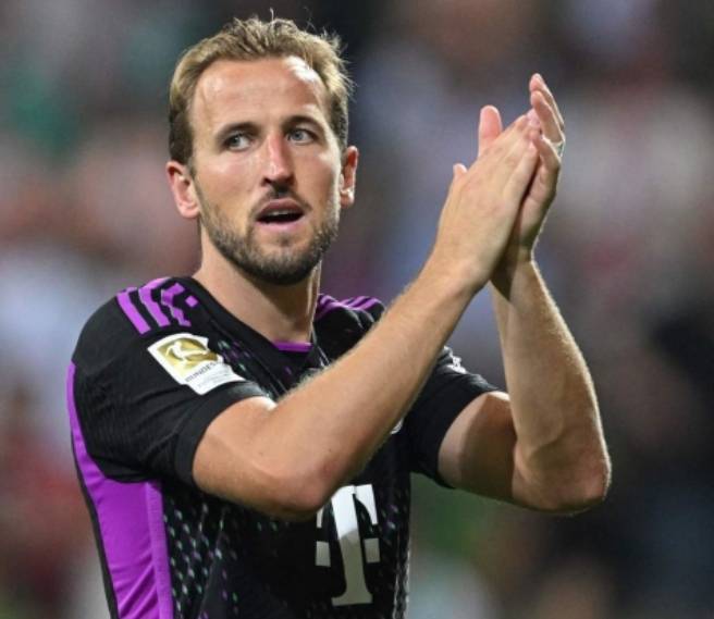 的不懈努力 的不懈努力