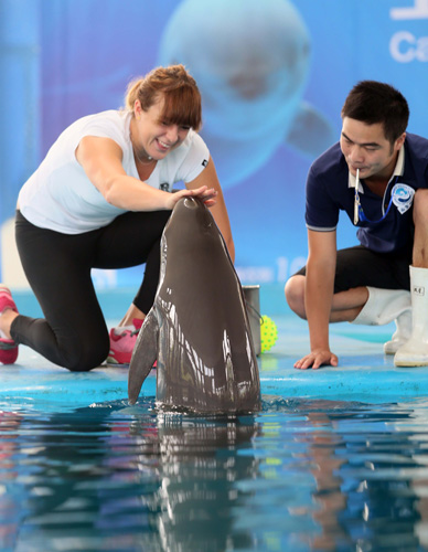 最近回到巴 最近回到巴