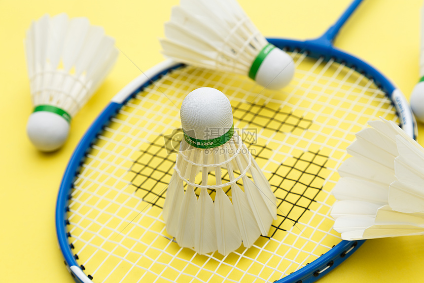 索引擎时会 索引擎时会