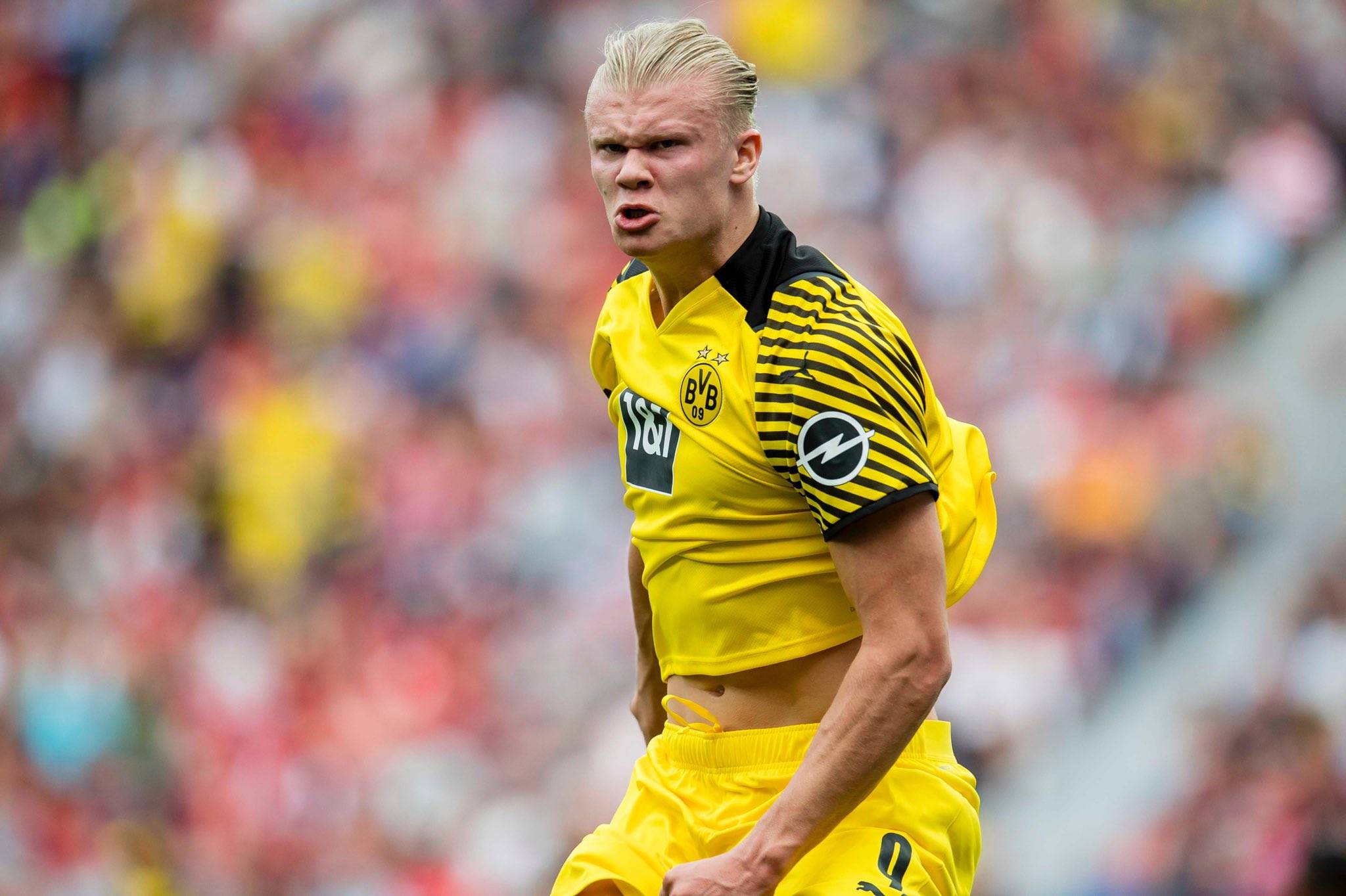 不给对手迎 不给对手迎